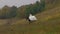 Happy bride in white dress is riding horse near wood