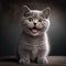 Happy British cat smiling. Young kitten. Generative AI