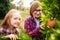 Happy brother and sister gathering apples in a garden outdoors together