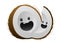 Happy brown coconut fruit cartoon character