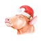 Happy bull cow in red santa hat watercolor illustration. Hand drawn zodiac symbol of 2021 year. Cartoon bull in christmas hat.