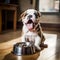 A happy bulldog puppy eagerly eating its kibble from a bowl by AI generated