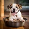 A happy bulldog puppy eagerly eating its kibble from a bowl by AI generated