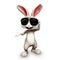 Happy bunny with sunglass