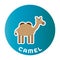 Happy Camel childlike cartoon character