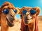 happy camels smiling taking selfie-summer vibes