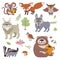 Happy cartoon and funny wood animals in forest vector collection