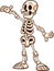 Happy cartoon white skeleton with presenting pose