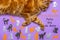 Happy Cat Day in Brazil. Orange, black and grey funny cat silhouettes and big red cat lying on lilac pastel background. Festive