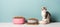 Happy cat relishing meal with cat food in bowl on plain background, creating a heartwarming scene