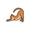 Happy cat stretches color line icon. Pictogram for web page