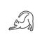 Happy cat stretches color line icon. Pictogram for web page