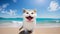 Happy cat, Surprised face, Wow expression cat funny face with open mouth. Cute ginger Cat Emotional surprised wide big eye and