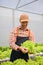 Happy Caucasian male farm owner harvesting in the greenhouse. farming business