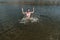 Happy caucasian woman swimming in lake and splashing. summer time. fun outdoors