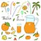 Happy celebrate orange freshness vector  hand draw