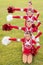 Happy Cheerleaders during Exhibition