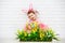 Happy chil in costume Easter bunny with eggs and green grass wit