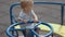 Happy child boy sitting on bench at playground taking in vibrant surroundings. Little boy child sitting on bench their