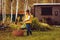 Happy child girl playing little gardener in autumn and picking leaves into basket. Seasonal garden work.