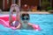 Happy child girl relaxing on inflatable air mattress in swimming pool on sunny summer day during tropical vacations