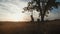 Happy child girl on swing at golden summer sunset. Silhouette of a young teenager girl swinging on the lone tree at