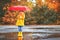 Happy child girl with an umbrella and rubber boots in puddle on