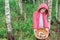 Happy child girl with wild edible wild mushrooms on wooden plate