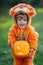 Happy child holding carved smiling happy pumpkin on sunny garden background. Toddler boy in fluffy lion costume