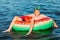 Happy child on an inflatable circle swims on the sea, in the summer resting on the sea. A little boy has fun and swims on an