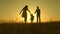 Happy child and parents walk at sunset. Dad hugs daughter and whirls in flight. Silhouette of a family walking in the