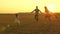 Happy child and parents walk at sunset. Dad hugs daughter and whirls in flight. Silhouette of a family walking in the