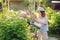 Happy child playing little gardener and watering hydrangea bush in sunny summer garden