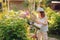 Happy child playing little gardener and watering hydrangea bush in sunny summer garden