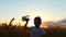 A happy child is running across a wheat field during sunset, holding a toy plane. The boy shows the flight of the