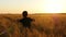 Happy child running on a wheat field at sunset. A little boy playing in a wheat field. Inspire people.