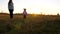 Happy child runs with ball on grass, throws soccer ball. Family playing with small child by children`s ball in a park at