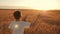 Happy child runs with a toy airplane on a sunset background over a field. The concept of a happy family. Childhood