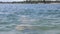 Happy Child Swimming, Splashing, Diving Underwater on the Beach in Sunlight