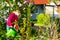 Happy child watering flowers in the garden