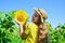 happy childhood. kid wear straw summer hat. child in field of yellow flowers. teen girl in sunflower field. concept of