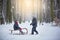 Happy children in a winter park, playing together with a sledge