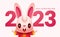 Happy Chinese New Year 2023. Cartoon cute rabbit greeting hand close up with big 2023 numbers sign.