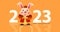 Happy Chinese new year 2023, year of the rabbit poster design with a cute cartoon character bunny. Translation: Year of the rabbit