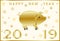 Happy Chinese New Year, Pig Year. Chinese characters mean congratulations on a happy new year. Suitable for greeting card, poster,