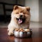 A happy Chow Chow dog puppy eagerly eating its kibble from a bowl by AI generated
