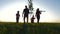 Happy, close-knit family with children, silhouette of farmers outdoors holding hands at sunset. Dad holds a young tree