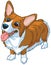 Happy Corgi Dog Vector Cartoon Illustration
