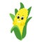 Happy corn smiles. The vegetable has a face, eyes, hands and is happy. Character design in cartoon style.