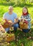 Happy couple with apples harvest